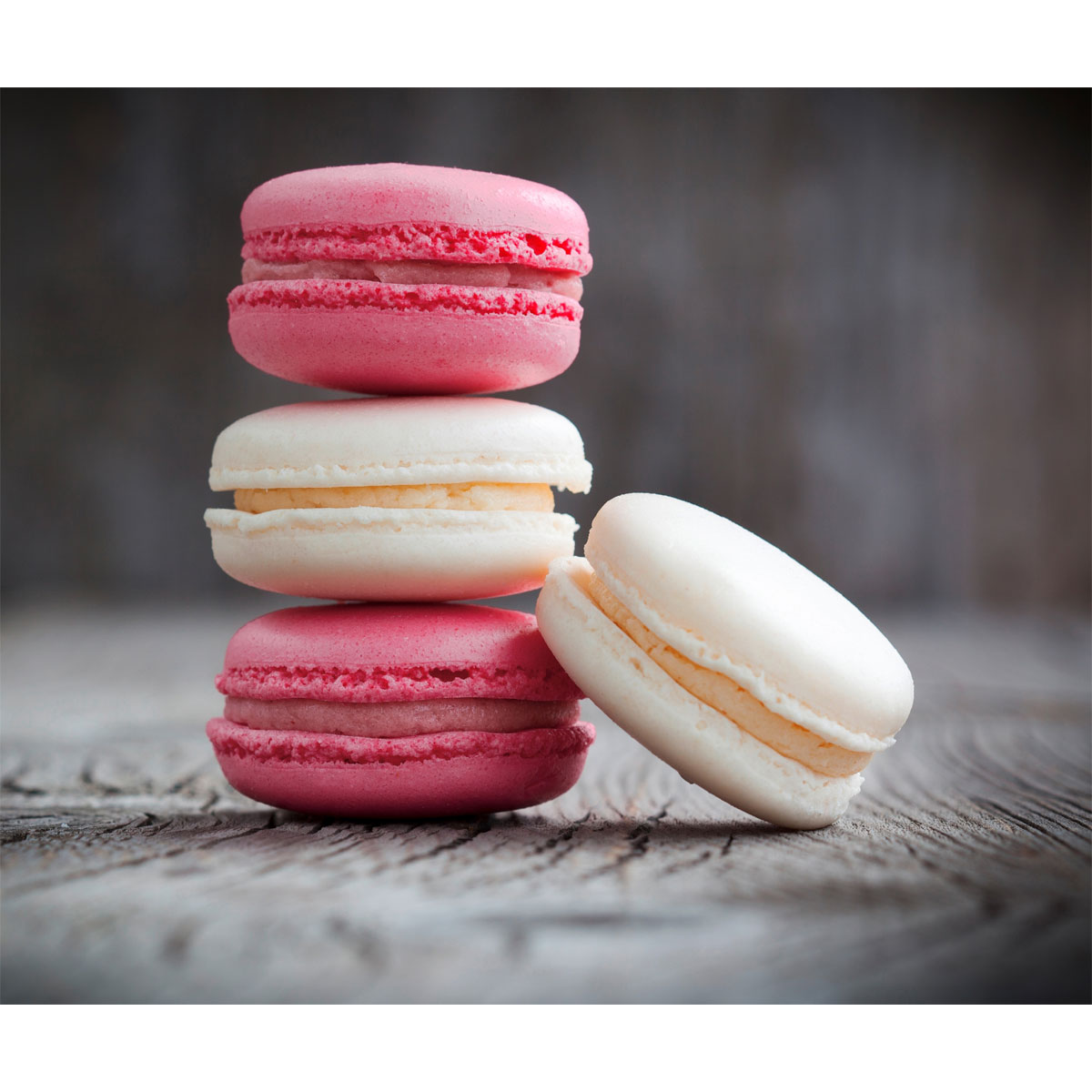 Wenko Glasrückwand Macarons 60 x 70 cm | 205564