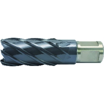 ALFRA® - Kernbohrer HSS-Co RQX 21 x 25mm