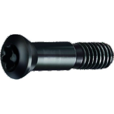 GÜHRING® - Spannschraube 4071 Werksnorm blank T25 M6 x 32,5mm