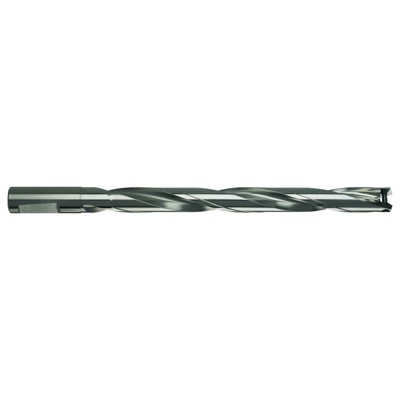GÜHRING® - Wechselplattenhalter IK HT800 4110 Werksnorm vern.10xD RH23,505-23,99mm