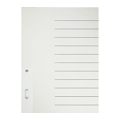 LEITZ® Papier-Register, A4, für Hängeordner, blanko (20 Blätter), Nr. 6096