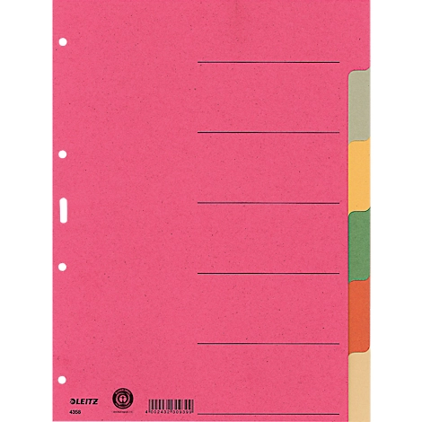 LEITZ® Register Blanko, 6 Taben, zur freien Verwendung, einzeln