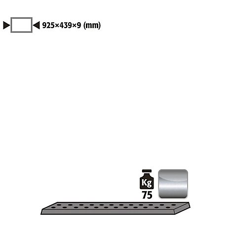 Lochblecheinsatz Standard für asecos Sicherheitsschränke der UB90 und UB30 Serie, Edelstahl 1.4016, B 925 x T 436 x H 9 mm, bis 75 kg