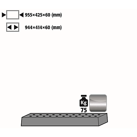Lochblecheinsatz Standard für asecos Sicherheitsschränke der UB90 und UB30 Serie, Edelstahl 1.4301, B 955 x T 425 x H 60 mm, bis 75 kg