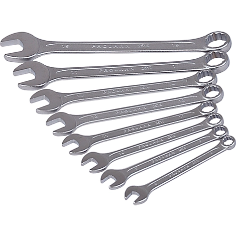 Projahn Ringmaulschlüsselset, 8-teilig, SW 8-19 mm, CV-Stahl, Sechskant; Zwölfkant